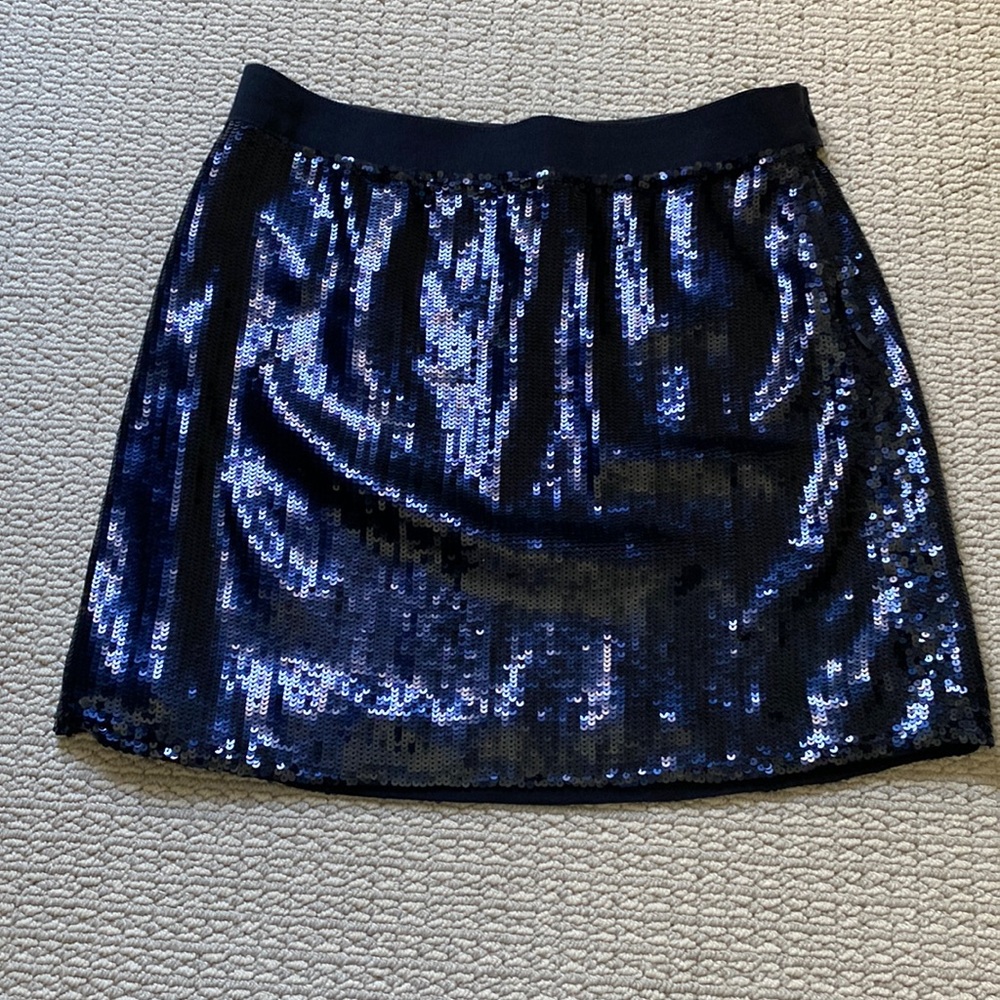 J crew, navy sequin skirt